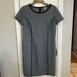 Chicos Ameera Gray Black Accent Scoop Neck Dress